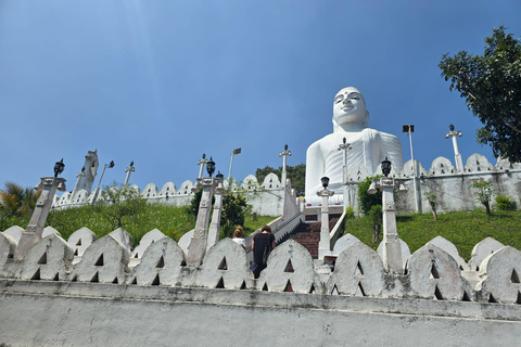 Kandy to Negombo/Airport Private Day Tour & Transfer Kandy to Airport or Negambo By Mini van
