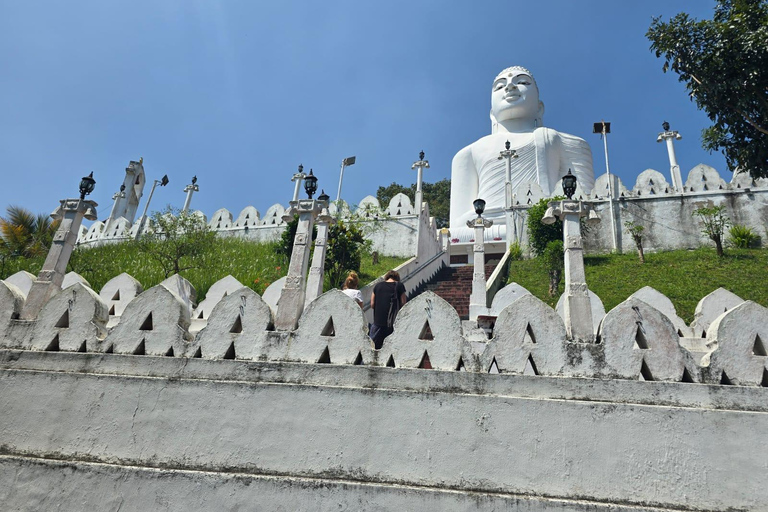 Kandy to Negombo/Airport Private Day Tour & Transfer Kandy to Airport or Negambo By Mini van