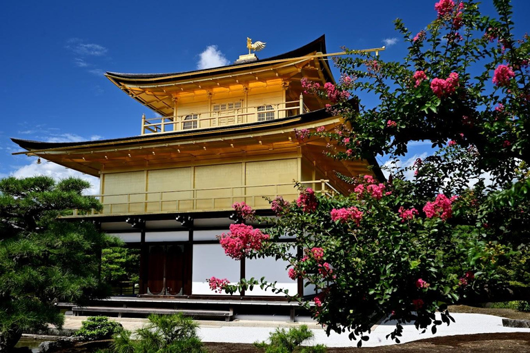 Osaka: Kyoto & Uji Day Tour, Kinkakuji&Kiyomizudera&Byodo-in Kyoto & Uji Day Tour | 8:00 AM from Osaka