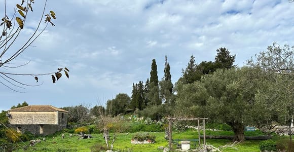 Zakynthos: Premium 4x4 Island Tour to Hidden Villages