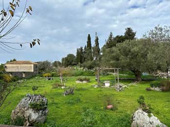 Esperienza 4x4 premium sull'isola di Zante
