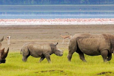 Nairobi:1-Day Lake Nakuru Flamingos & Rhino Sanctuary Safari