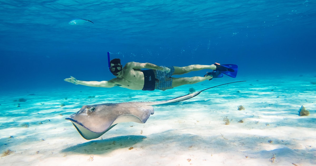 Akumal: Bay Snorkeling Tour | GetYourGuide