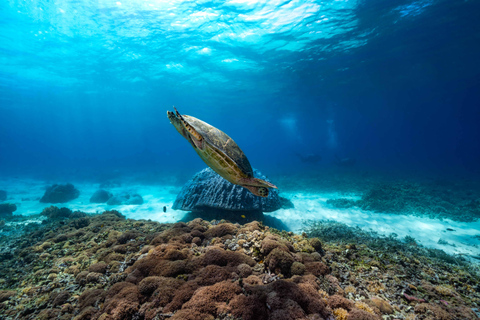 Manta Dive Gili Trawangan: Fun Diving for certified divers