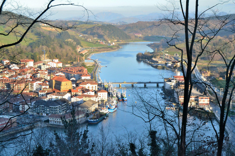 San Sebastián rural culture: vineyard visit and farm hiking