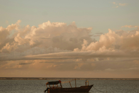 Mombasa: Wasini Island Dhow Cruise, Dolphins & Lunch
