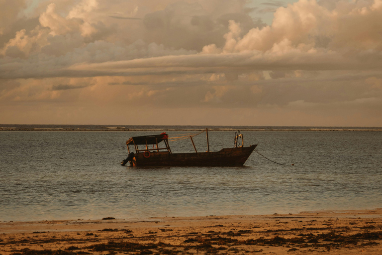 Mombasa: Wasini Island Dhow Cruise, Dolphins & Lunch