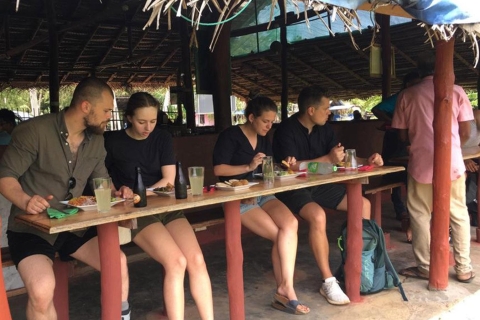 Visite touristique de Polonnaruwa et safari d'une demi-journée à Minneriya