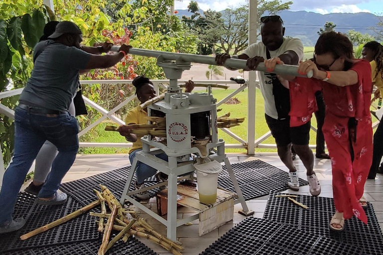 Worthy Park Estate Rum Distillery Tour with Tasting