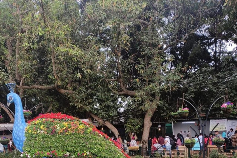 Bangalore: Lalbagh Botanical Garden Walking Tour with Guide Morning Nature Walking Tour at Lalbagh Botanical Garden.