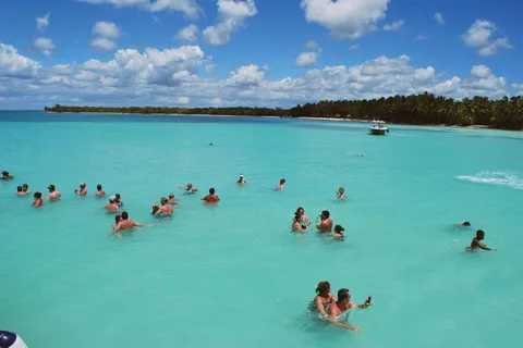 Excursión de un día a la Isla Saona desde Punta Cana con almuerzo y más