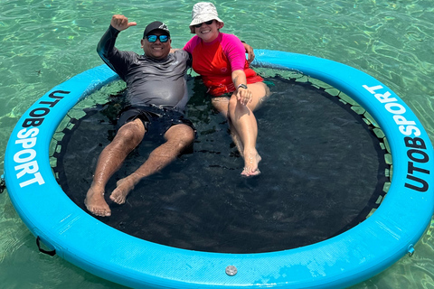 Panama City: Experience the best whale watching in Las Perlas Panama City: Experience the Best Whale Watching in Las Perlas