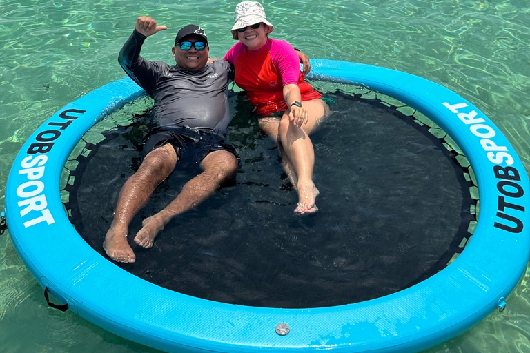 Panama City: Experience the best whale watching in Las Perlas Panama City: Experience the Best Whale Watching in Las Perlas