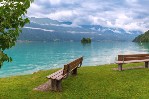 GoldenPass, Interlaken & Montreux Scenic Tour | From Lucerne