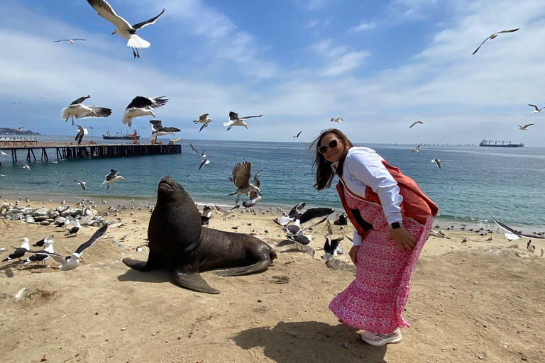 Casablanca: Private Wine Tour at Estancia El Cuadro, Valparaíso, Viña del Mar
