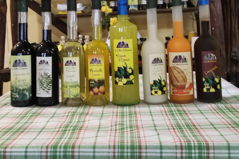 Sorrento: Rondleiding door de citroentuin met proeverijen