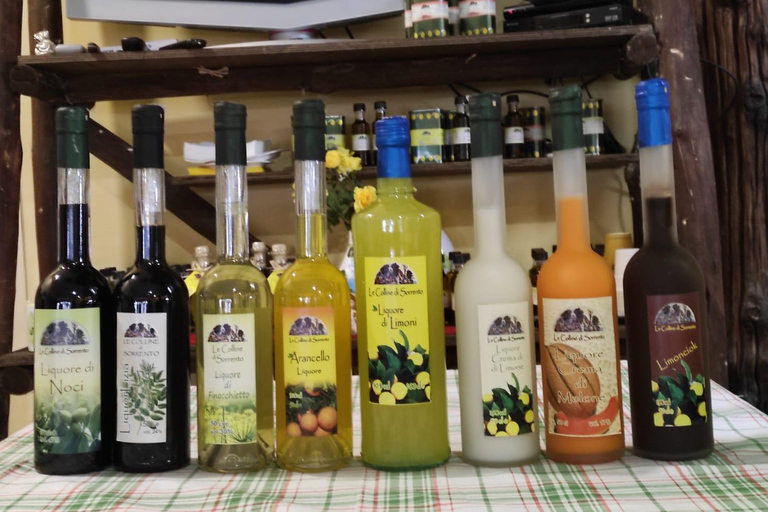 Sorrento: Rondleiding door de citroentuin met proeverijen