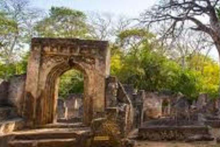 Mombasa: Gede Ruins and Arabuko Sokoke Forest Tour