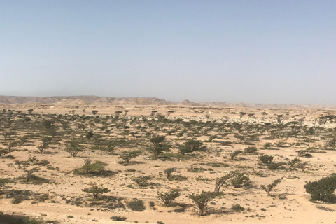 Excursion privée d'une journée de Salalah à Rub Al Khali