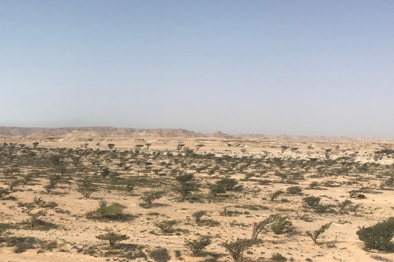 Private Day Trip from Salalah to Rub Al Khali