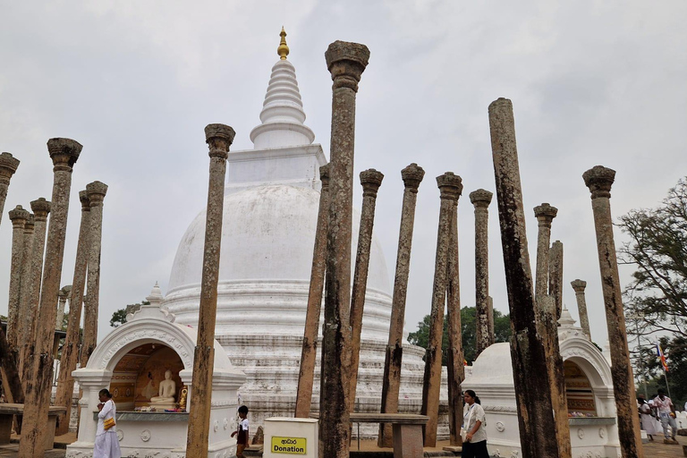 Anuradhapura All Inclusive Private Day Trip from Trincomalee Pick ups from Sigiriya, Habarana, Dambulla