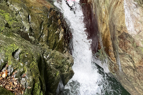 Christchurch: Tui Canyon Half-Day Canyoning Adventure