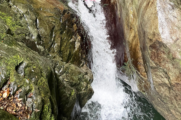 Christchurch: Tui Canyon Half-Day Canyoning Adventure