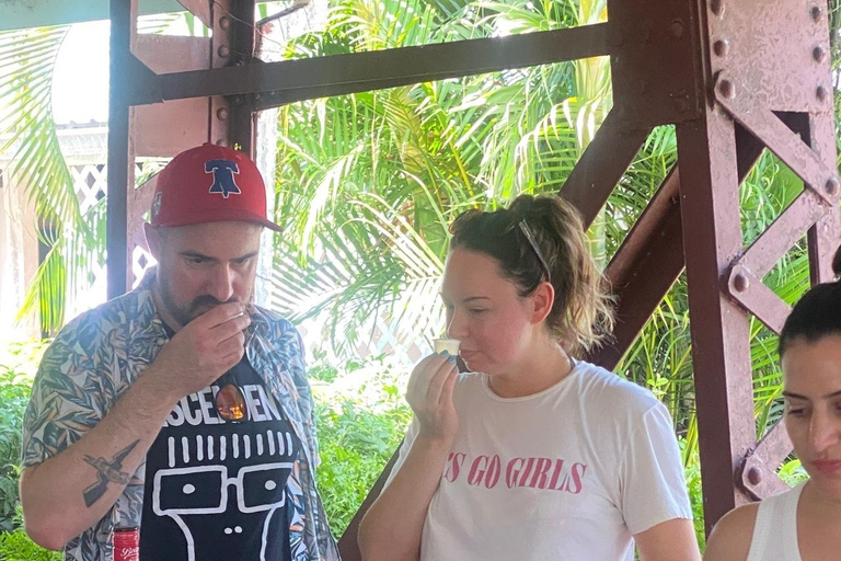 Marigot Bay: Rumverkostung und Viewpoint Tour in St. Lucia