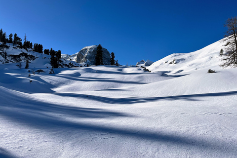 Hallstatt: Snowshoeing from Krippenstein to Zwölferkogel
