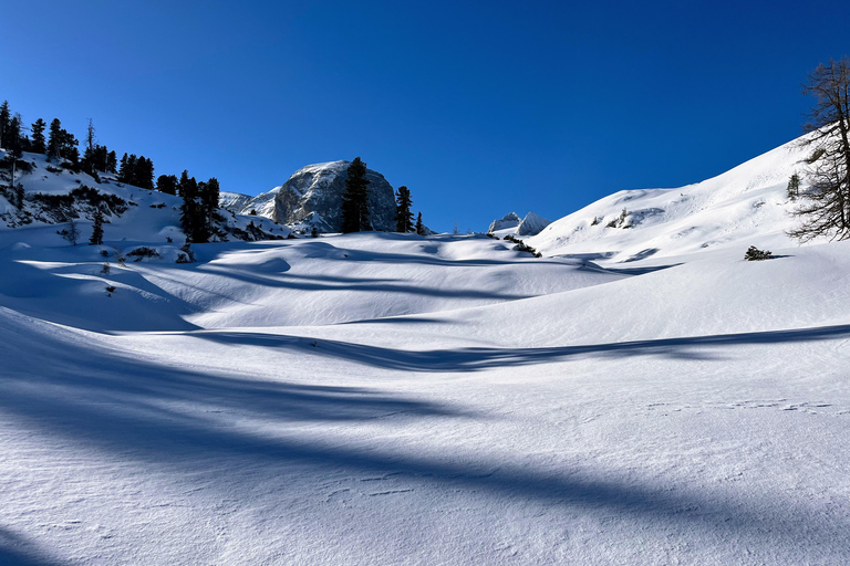 Hallstatt: Snowshoeing from Krippenstein to Zwölferkogel