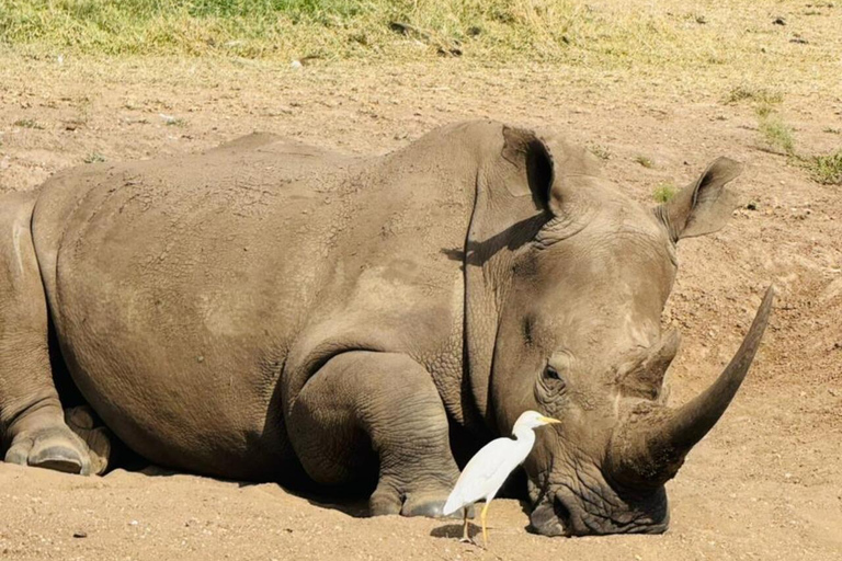 Nairobi National Park&Elephant Orphanage&Giraffe Centre Tour