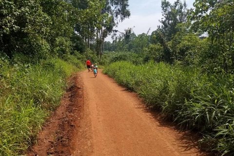 Nairobi: Trilho natural e caminhada na floresta de Karura