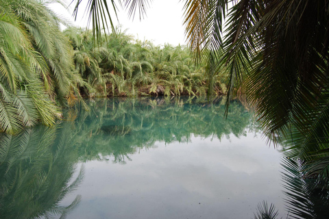 1 Day Private Kikuletwa Hotspring