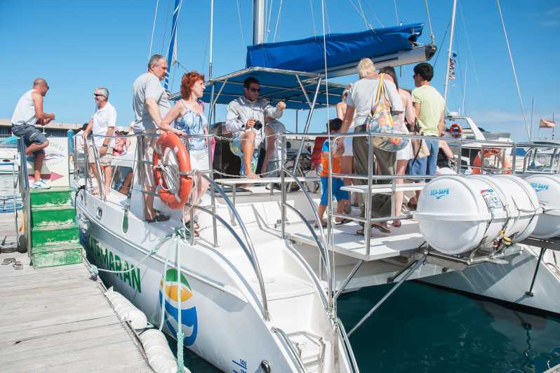 Tenerife : Observation Des Baleines En Catamaran | GetYourGuide