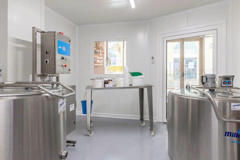 Bordeaux - Cheese Workshop: Make a St Marcell'eaux