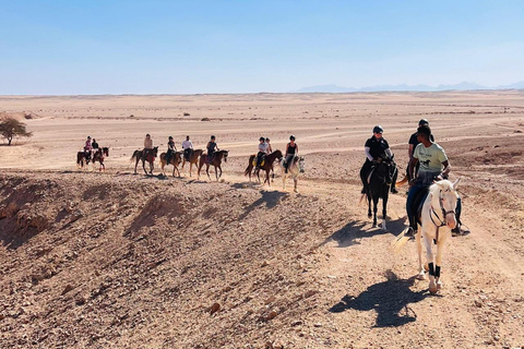 الغردقة: جولة ركوب الخيل في الصحراء والبحر مع خيار السباحةجولة لمدة ساعتين لركوب الخيل بدون السباح