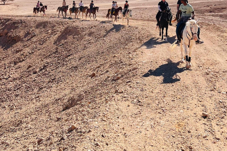 الغردقة: جولة ركوب الخيل في الصحراء والبحر مع خيار السباحةجولة لمدة ساعتين لركوب الخيل بدون السباح