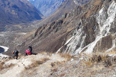 Journey Through Langtang: A 6-Day Trek with Meals