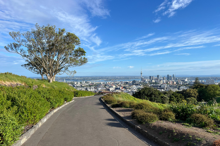 AUCKLAND: Half-Day CITY HIGHLIGHTS TOUR with Hotel Pickup