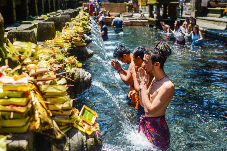 Bali: All-Inclusive Ubud Private Tour with Lunch All-Inclusive Ubud Private Tour with Lunch