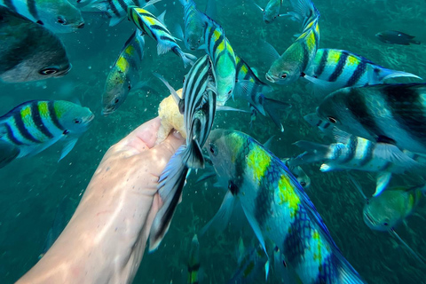 Zanzibar: Blå lagunen, klipprestaurang, grotta och strandresa