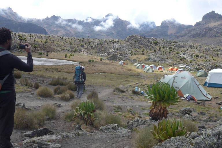 Da Nairobi: Esperienza di trekking di 4 giorni sul Monte KenyaDa Nairobi: 4 giorni di trekking sul Monte Kenya