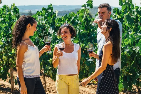 Albufeira: Wijnproeverij met kasteel- en molenbezoek