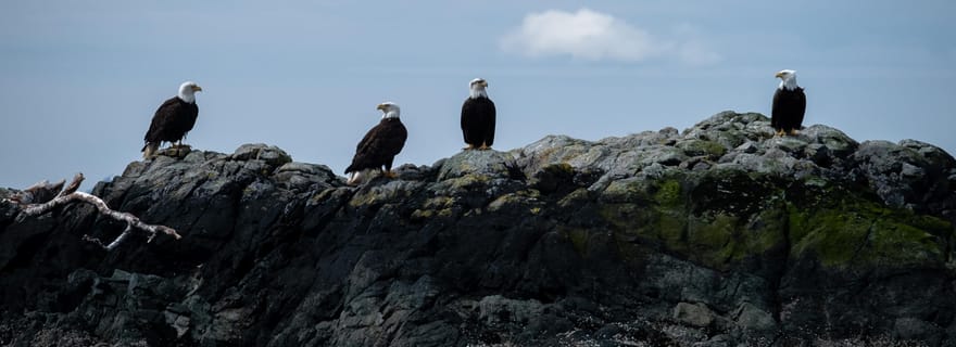 Ketchikan : Excursion au phare, aux totems et aux aigles