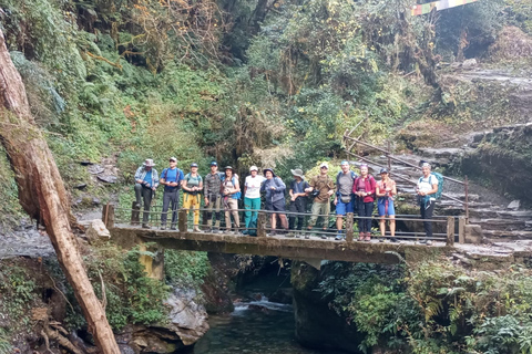 Katmandou : 2 jours de randonnée guidée Short&Sweet Ghorepani Poon HillKatmandou : 2 jours de trek court et doux à Ghorepani (forfait léger)