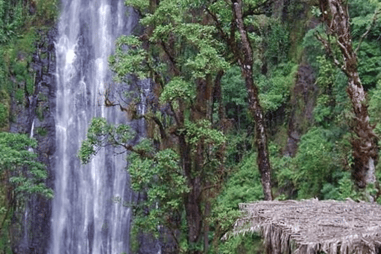Moshi : Cascades de Materuni et visite de la plantation de café avec déjeunerMoshi : visite des chutes de Materuni et d&#039;une plantation de café avec déjeuner