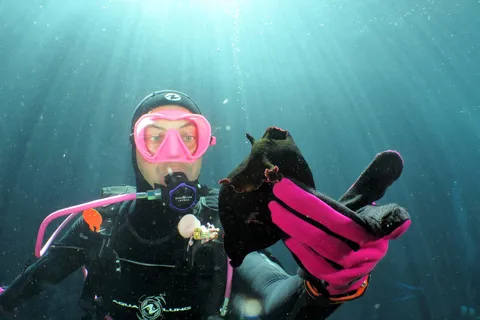 SSI Try Scuba Diving in the sea