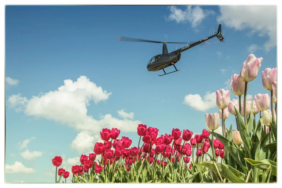 Amsterdam: Private Helikopter Tulpen Tour vom Heliport AMS