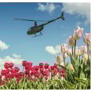 Amsterdã: Tour particular de helicóptero pelas tulipas saindo do Heliporto AMS