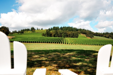 Portland: tour de vino de Willamette Valley de 5 horas con degustacionesTour Compartido